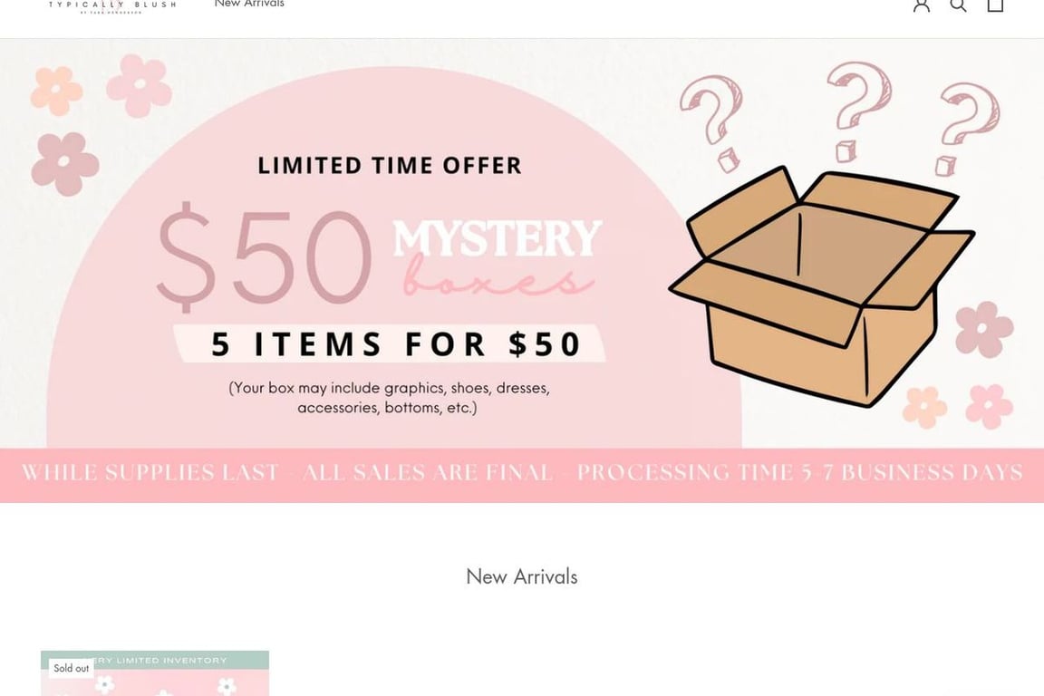 Typically Blush homepage