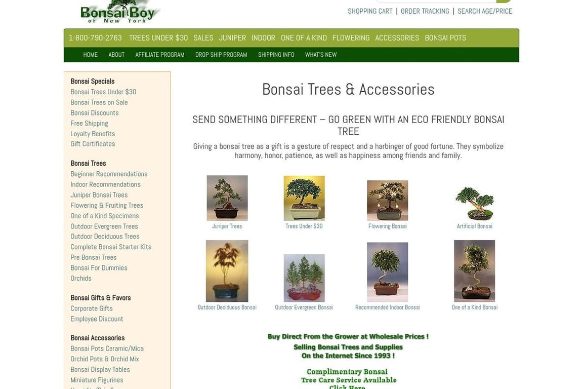 Bonsai Boy of New York homepage