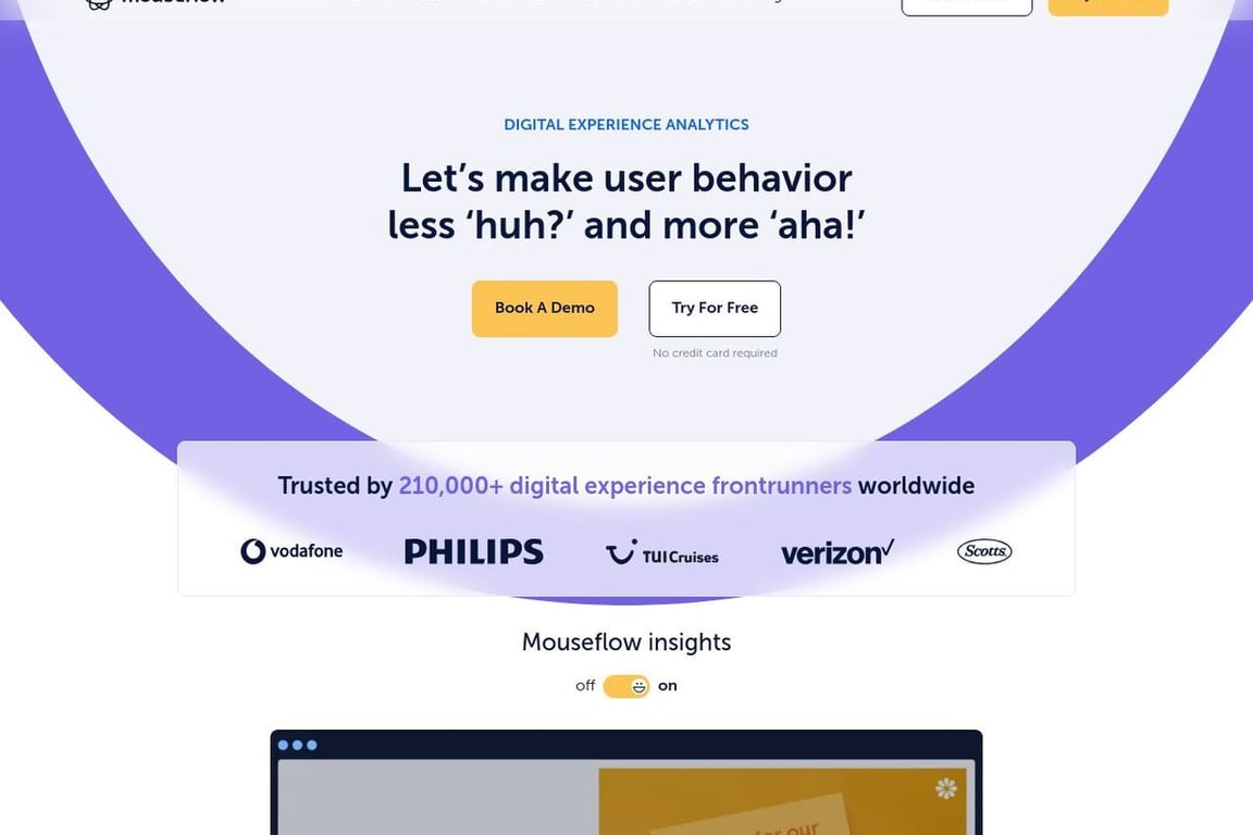 Mouseflow homepage