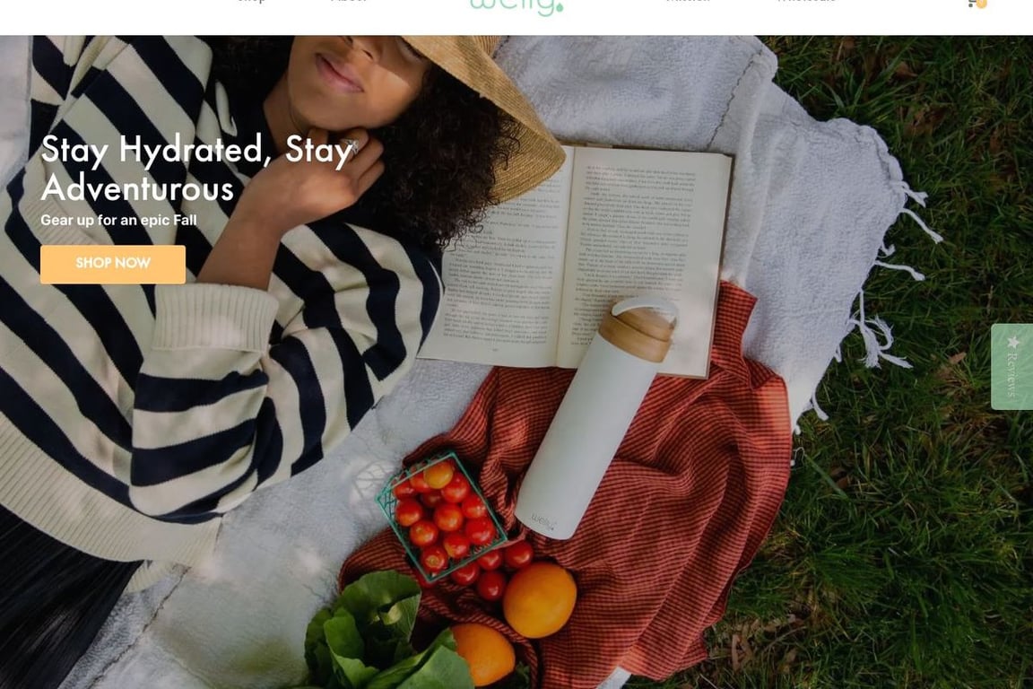 Welly homepage