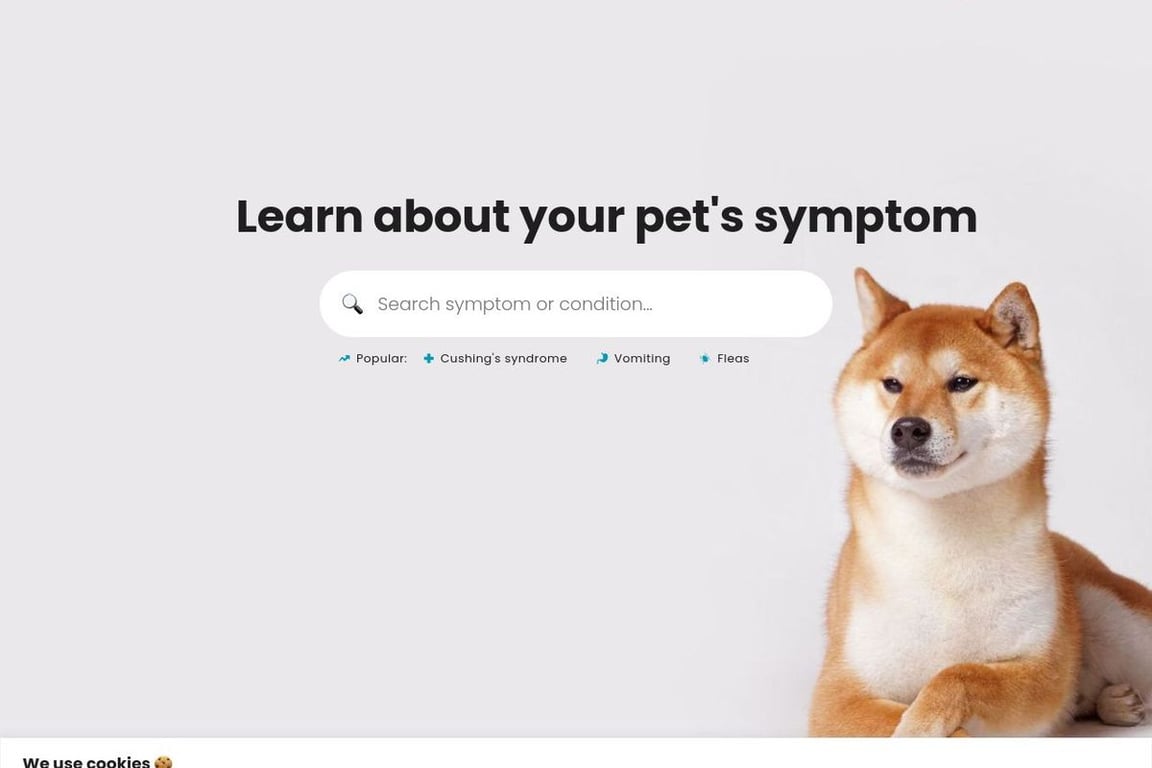 Joii Pet Care Affiliate Program Everything You Need to Know (2024)