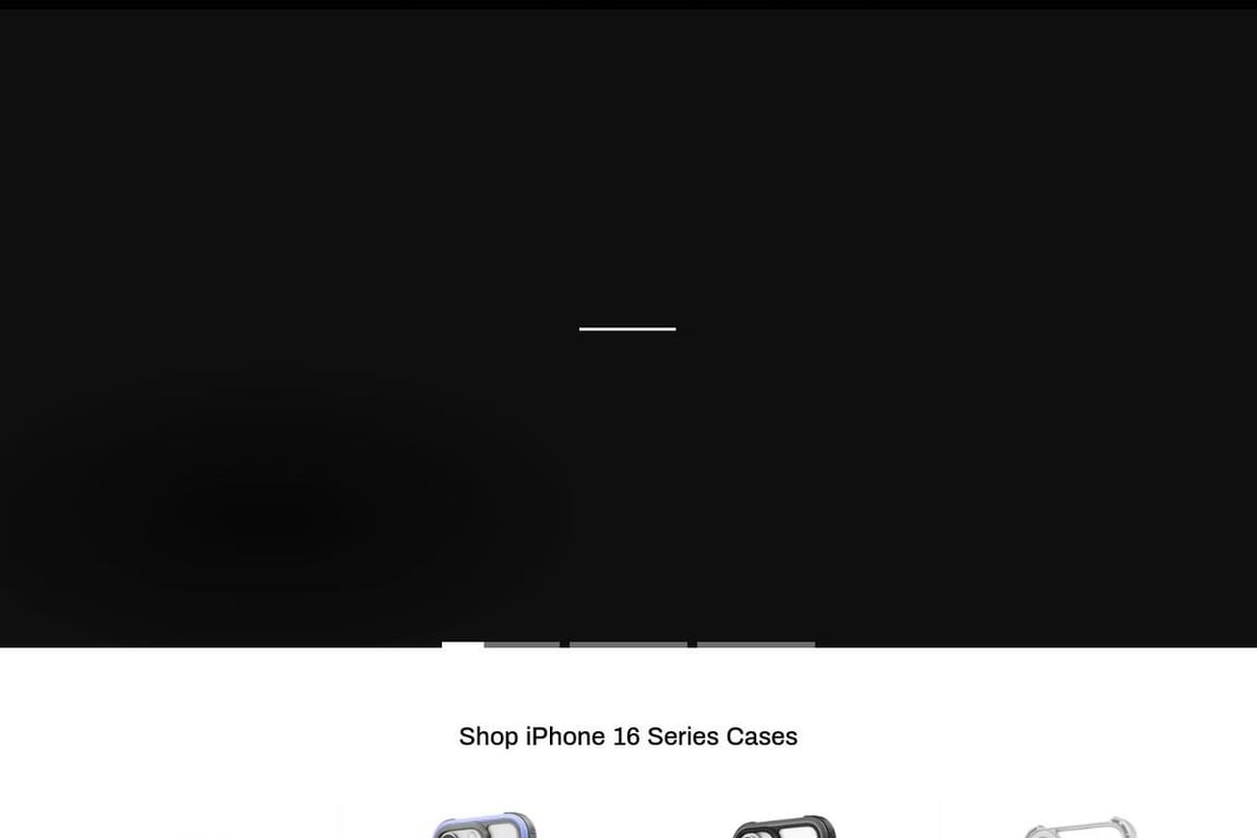 Raptic homepage