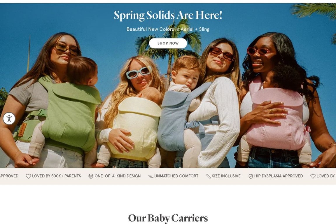 Wildbird homepage