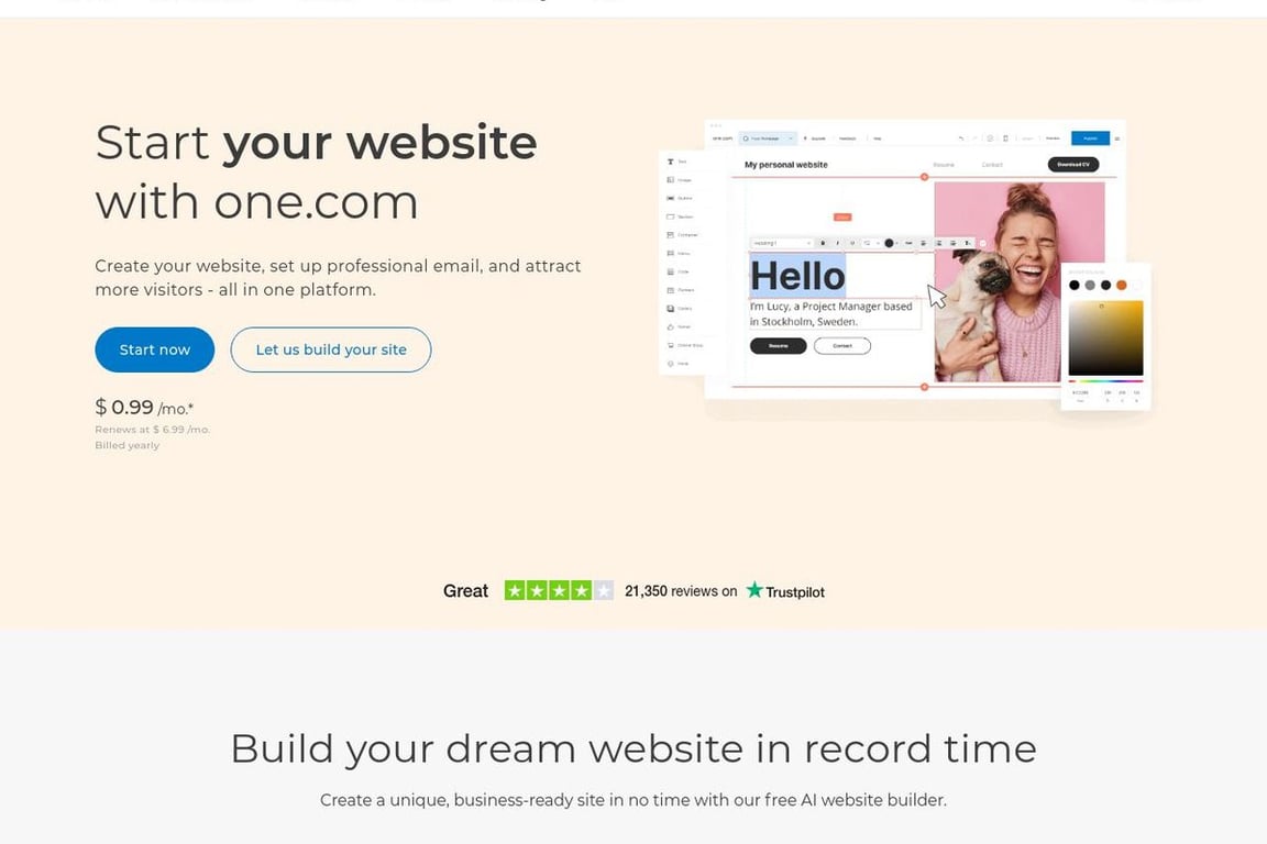 One.com homepage