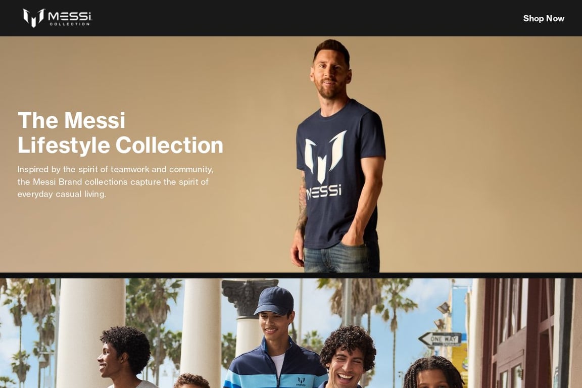 MESSi homepage