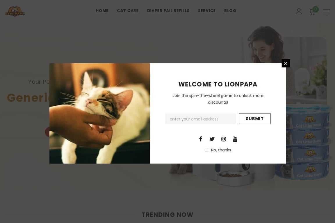 Lionpapa homepage