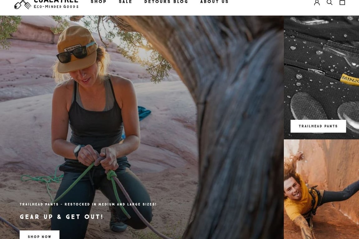 Coalatree homepage