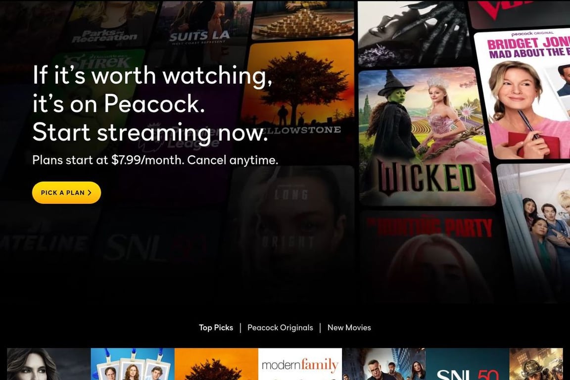 Peacock TV – Paused homepage