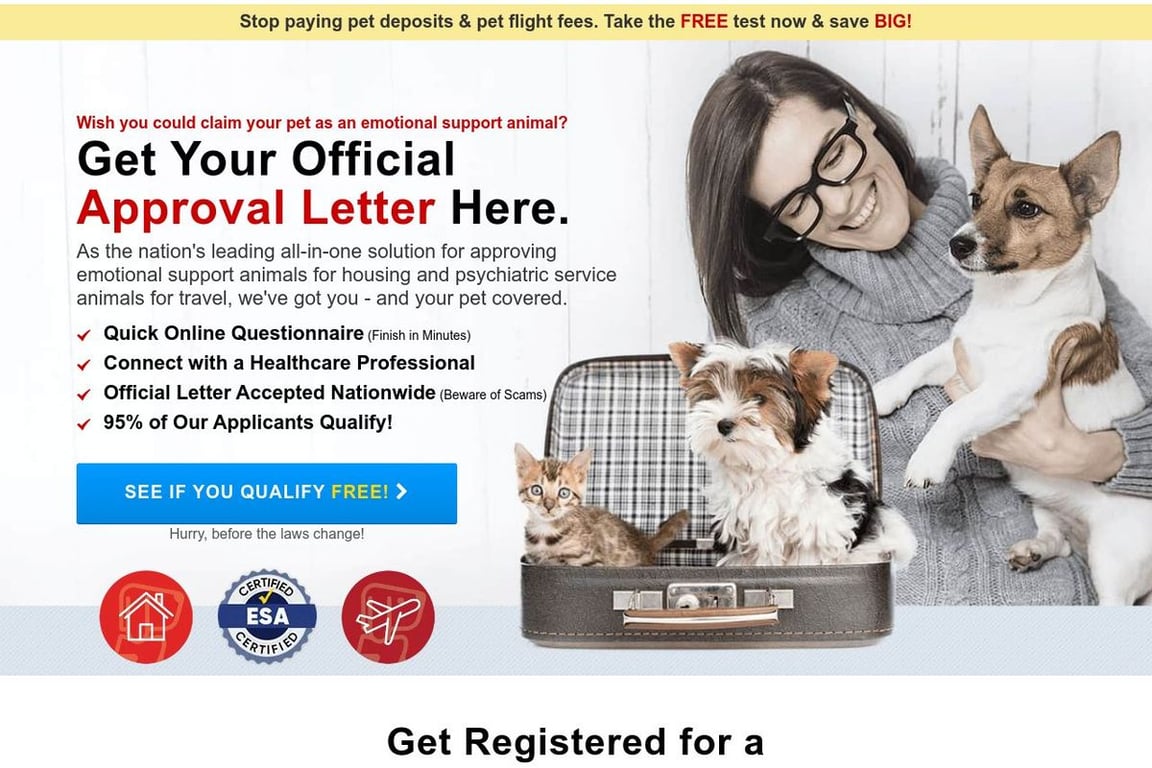 American hot sale service pets