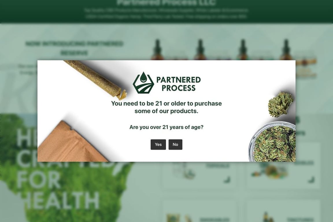 Partnered Process homepage