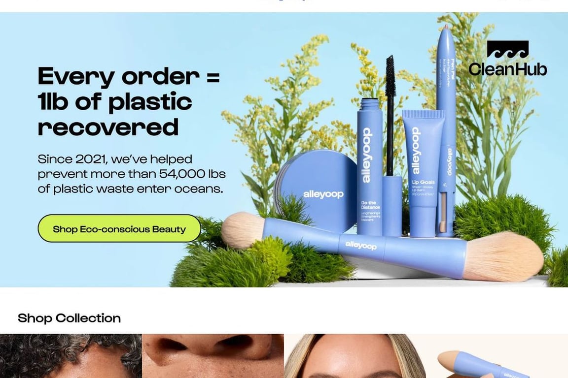 Alleyoop homepage