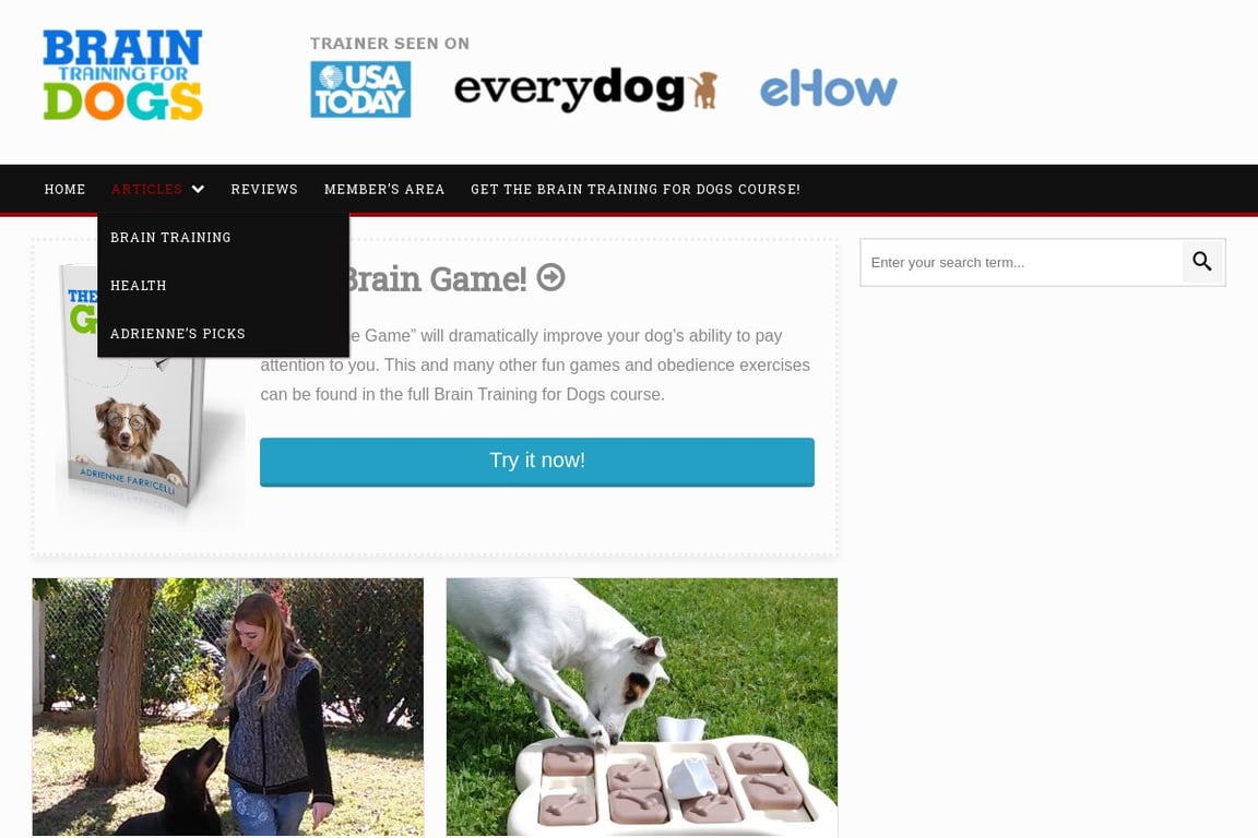 Brain Training for Dogs homepage