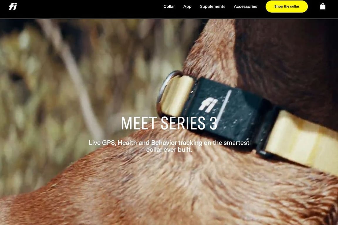 Fi Smart homepage