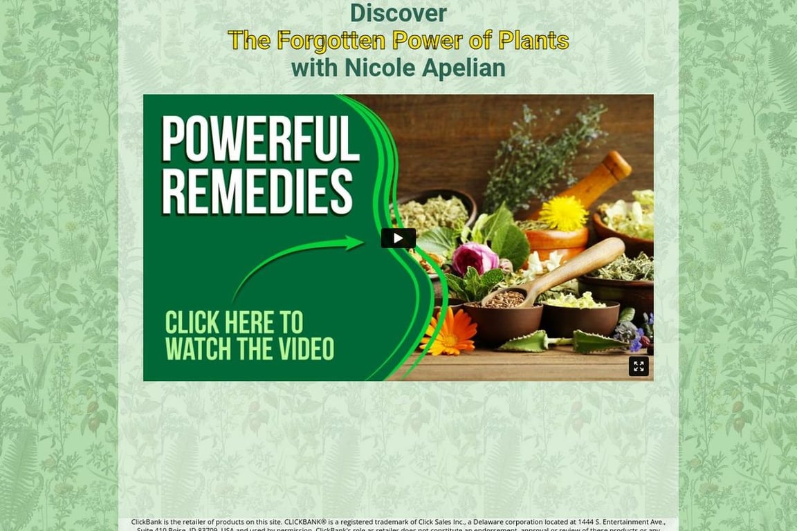 The Lost Book Of Remedies homepage