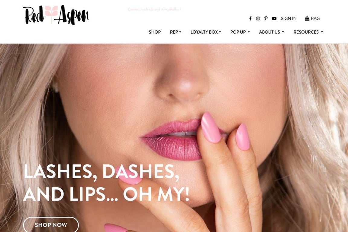 Red Aspen Affiliate Program Everything You Need to Know (2024)