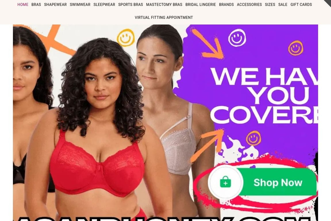 Bras & Honey Lingerie and Swimwear Limited homepage