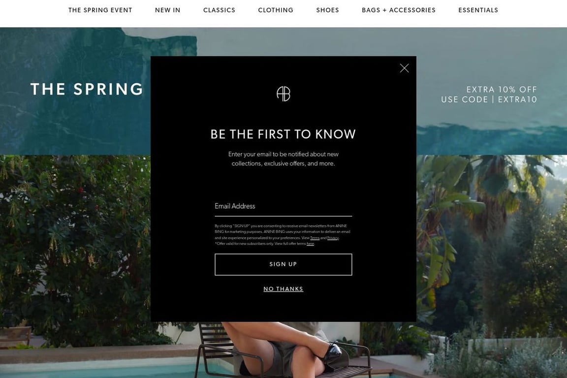ANINE BING homepage