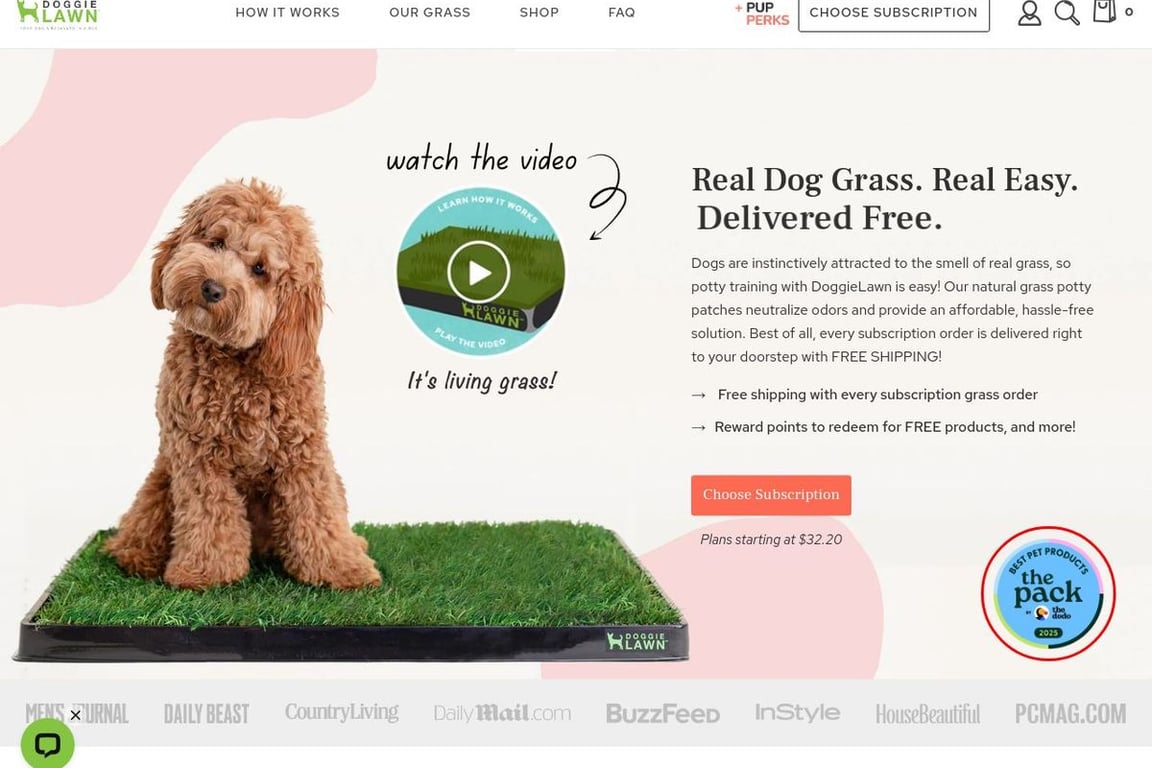 DoggieLawn homepage