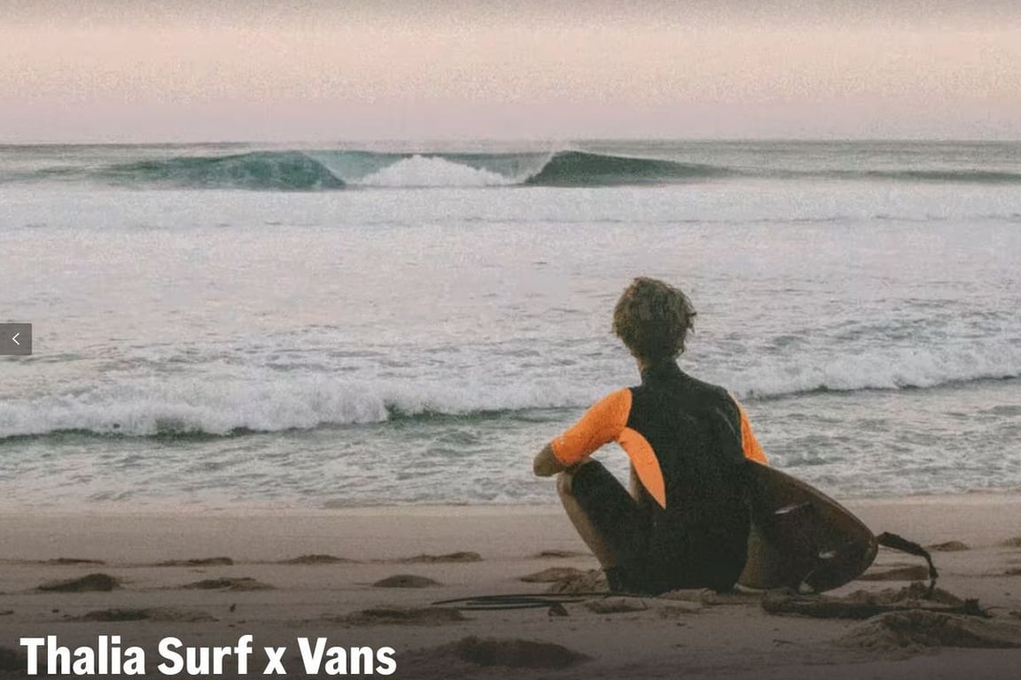 Vans homepage
