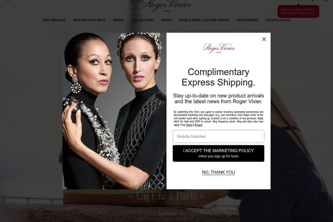 Roger Vivier homepage
