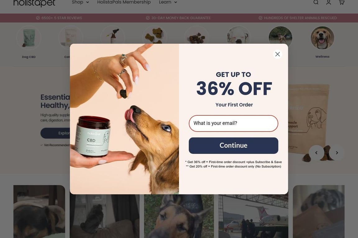 HolistaPet homepage