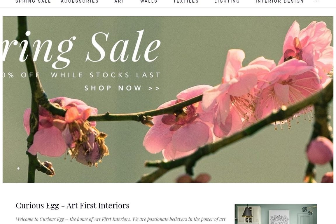 Curious Egg – Artist Curated Interiors homepage