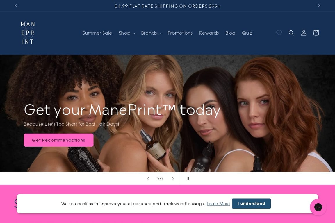 North Authentic homepage