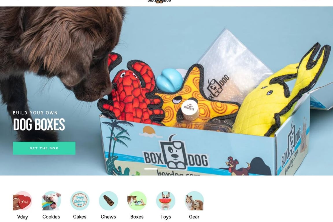 BoxDog homepage