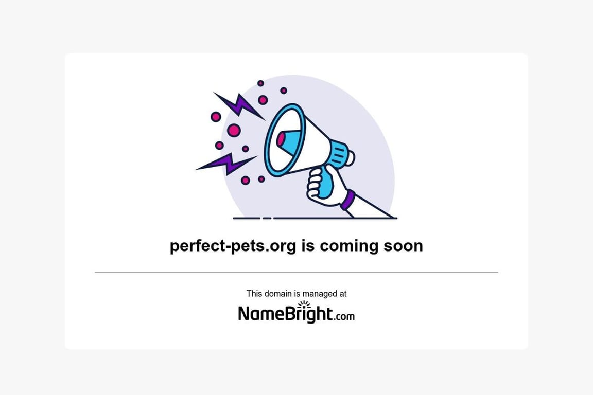 Perfect Pets homepage