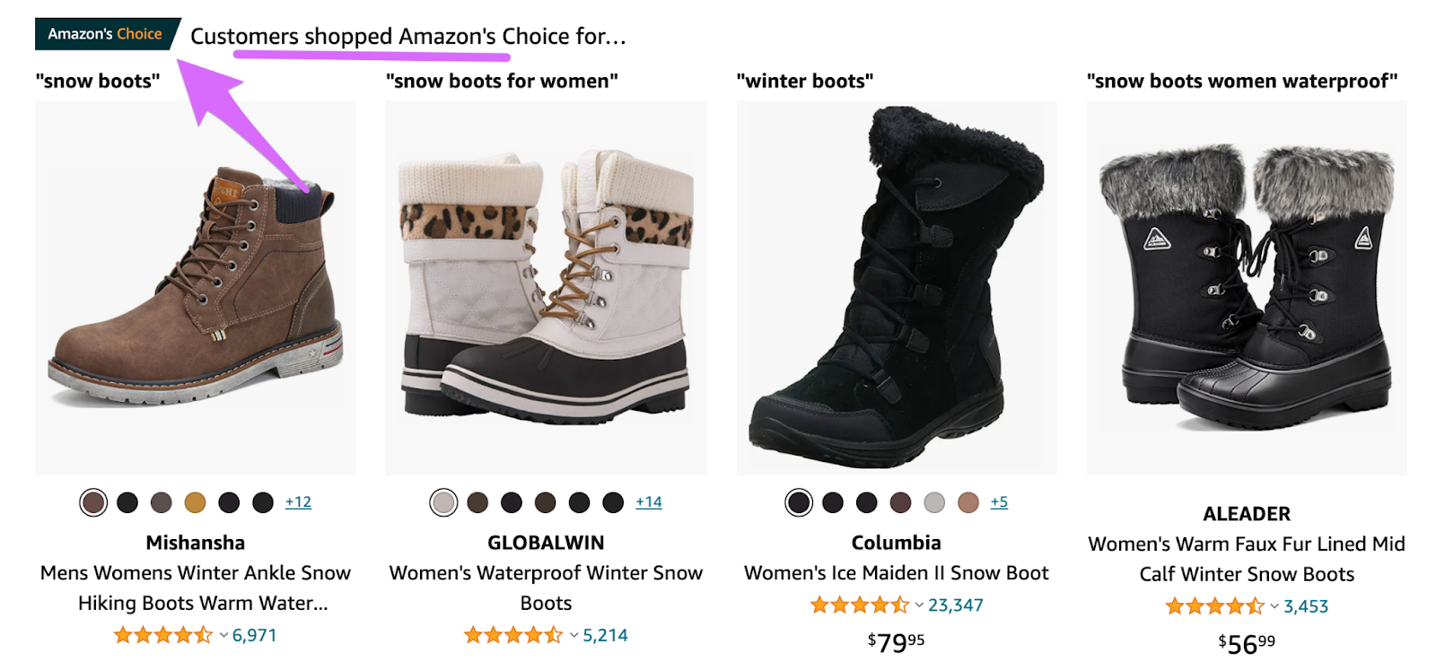 the amazon's choice badge advertising products
