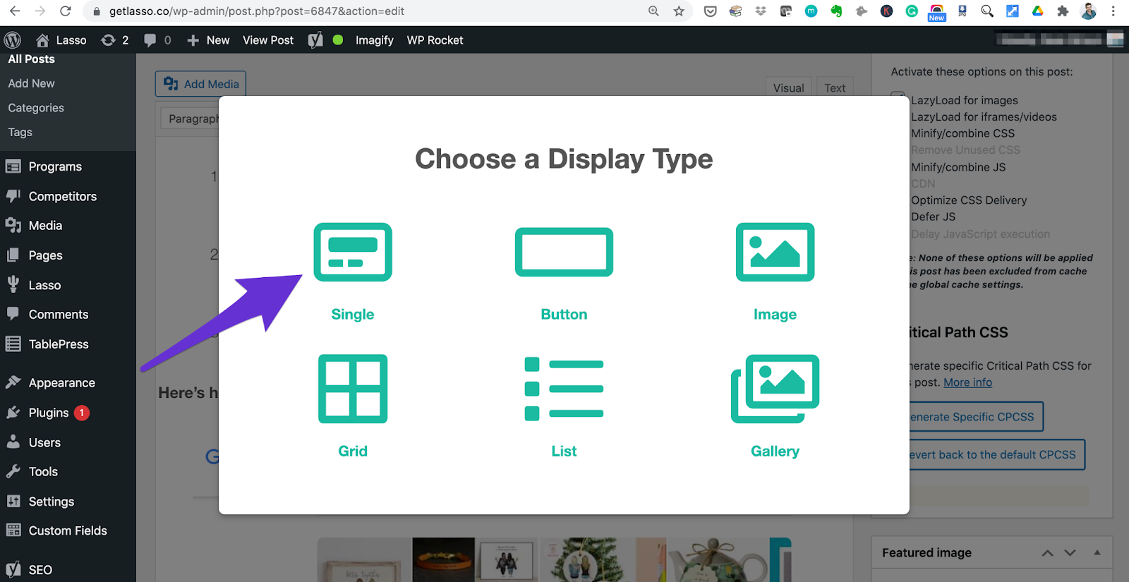 choosing a display type inside lasso