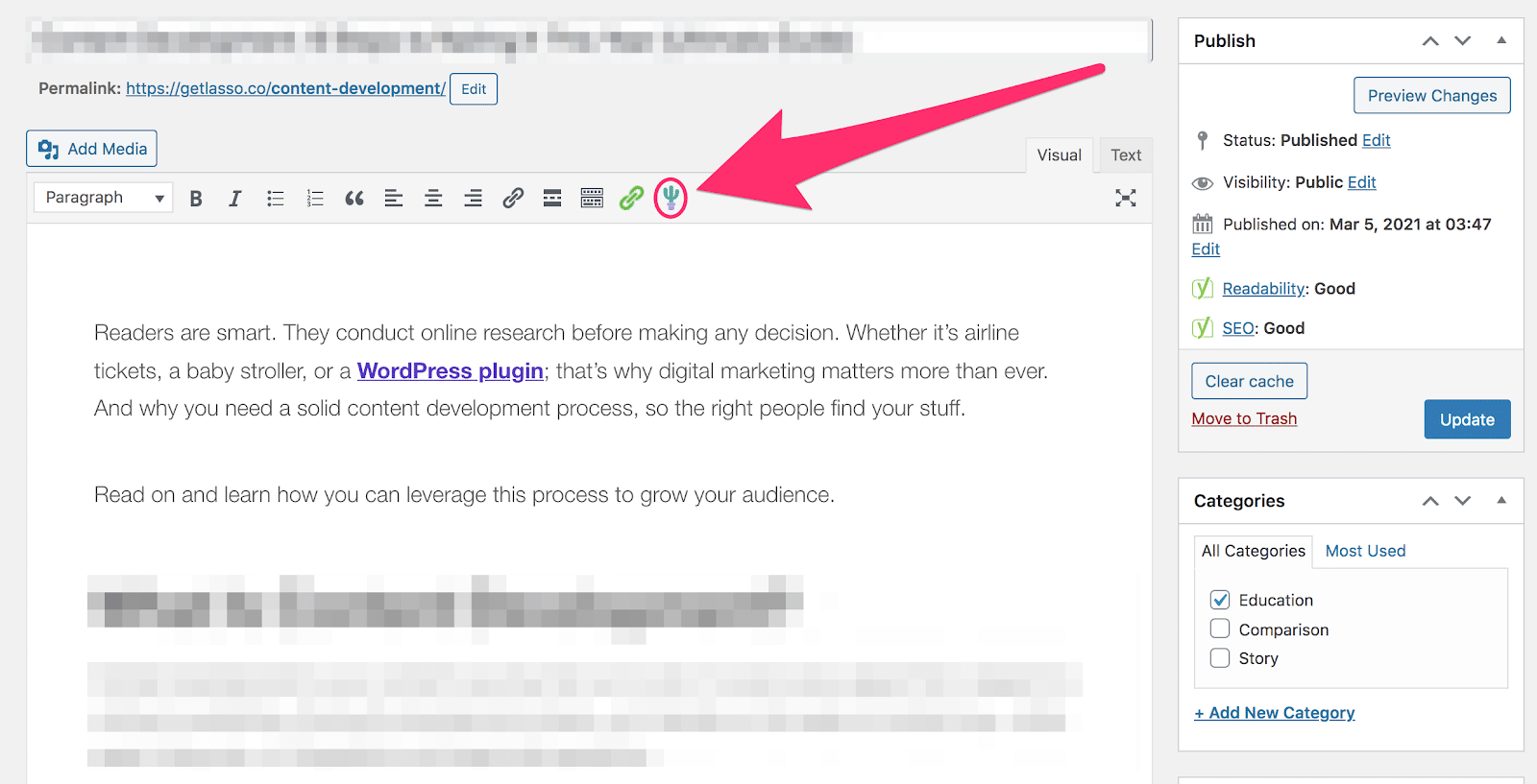 cactus icon appearing at top of wordpress text editor to add a display 