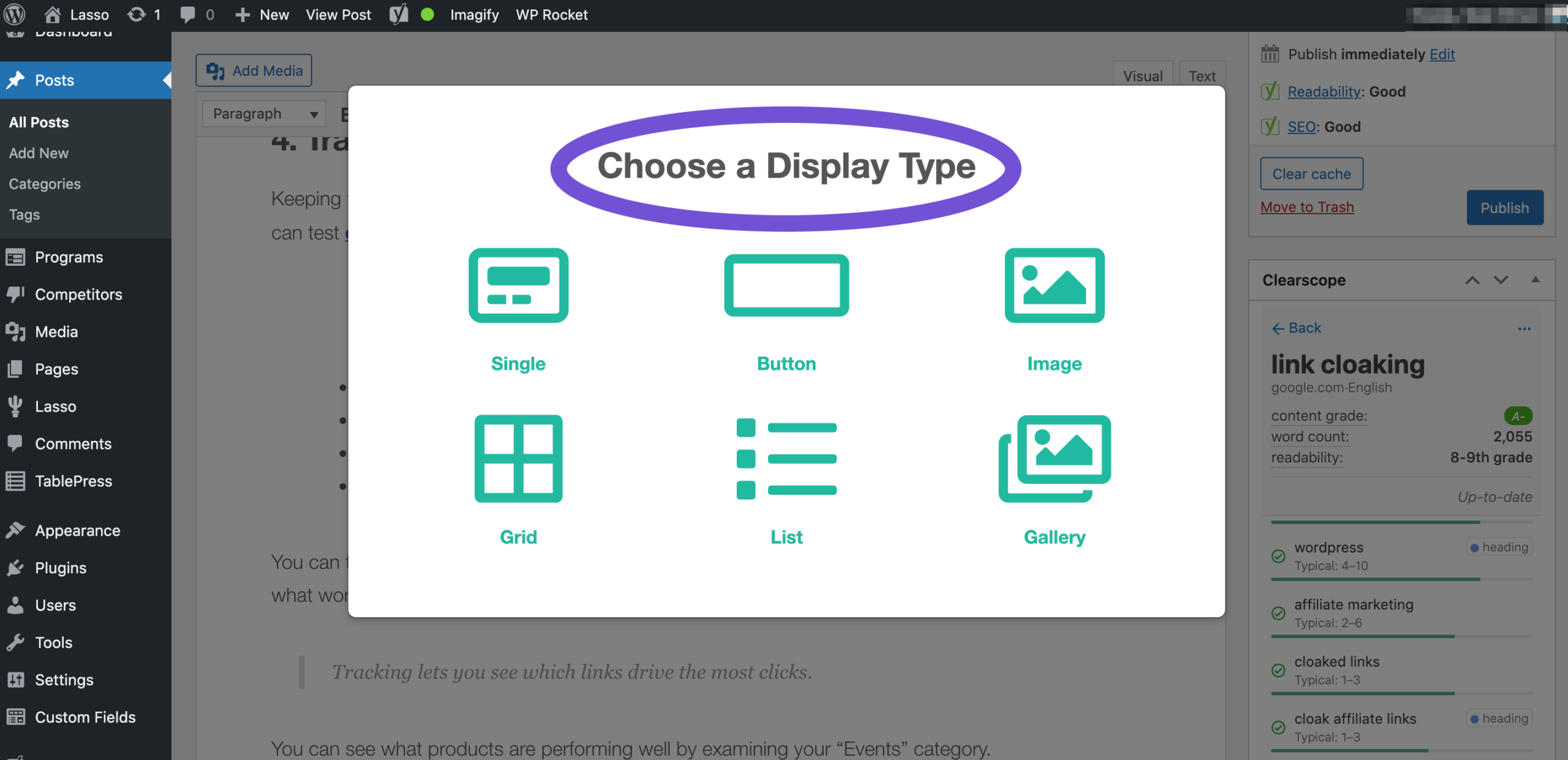choosing a lasso display type