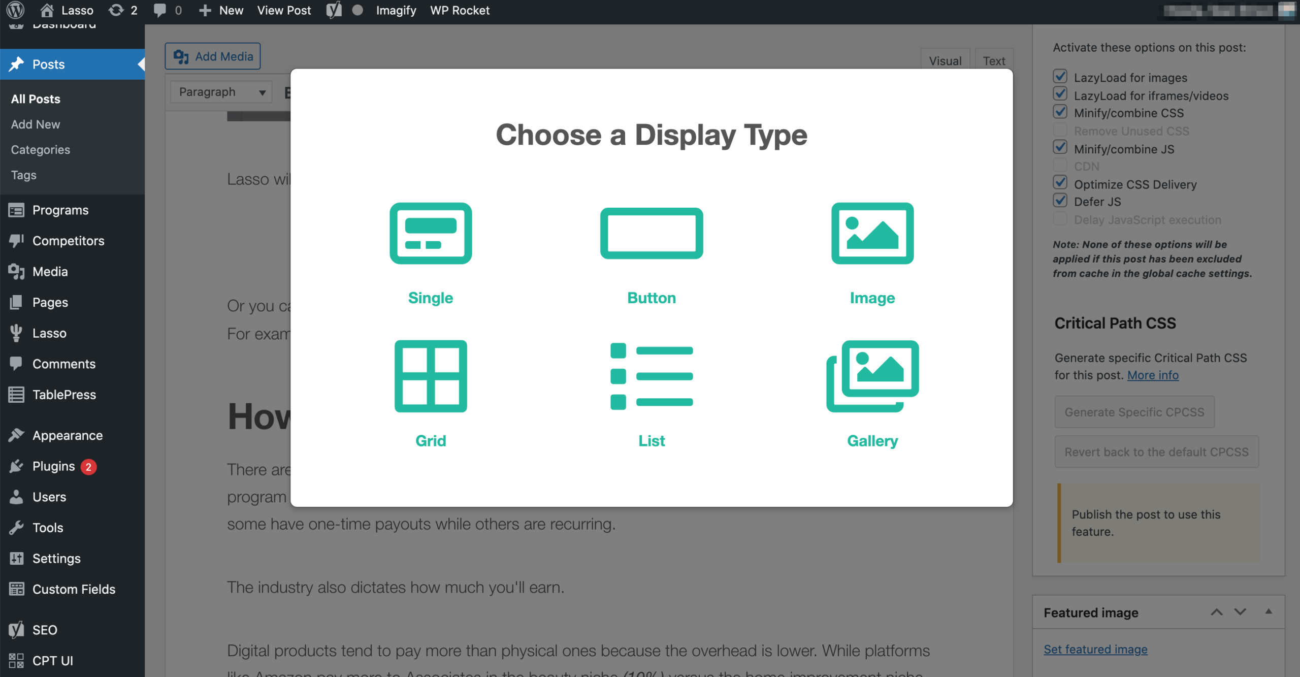 choosing a lasso display type