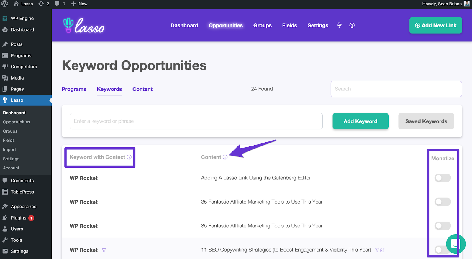 lasso keyword opportunites page