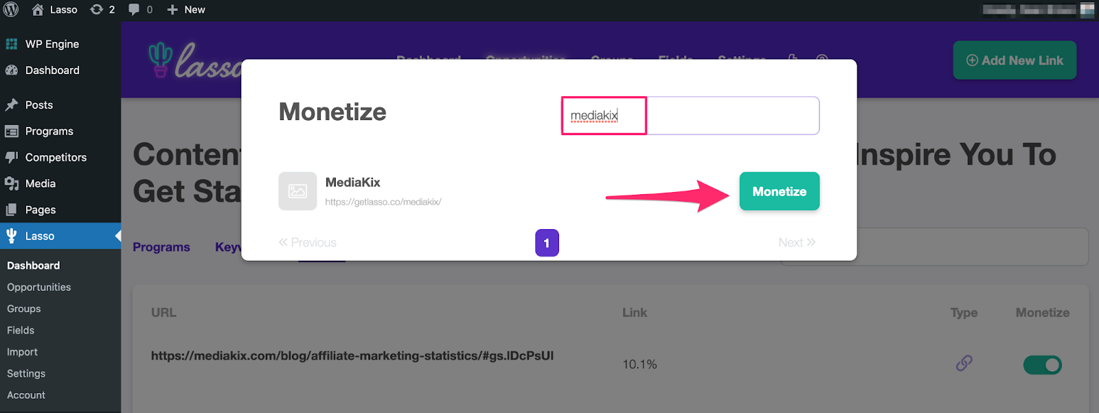 finding the affiliate you want to monetize in the search field then clicking the green monetize button