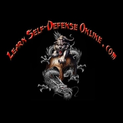 Learn Self-Defense Online