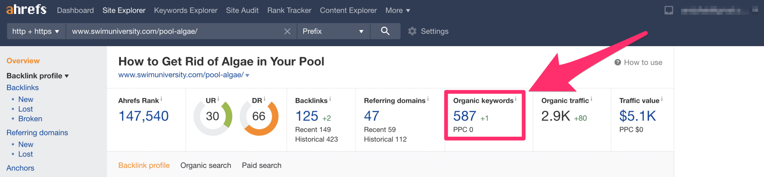 ahrefs data showing how many keywords an article ranks for