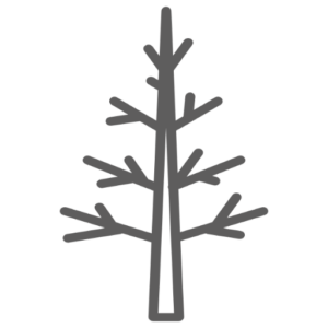 Nordik by Design