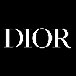 Everyday Dior: A merchandising example - College of Health and Human  Sciences