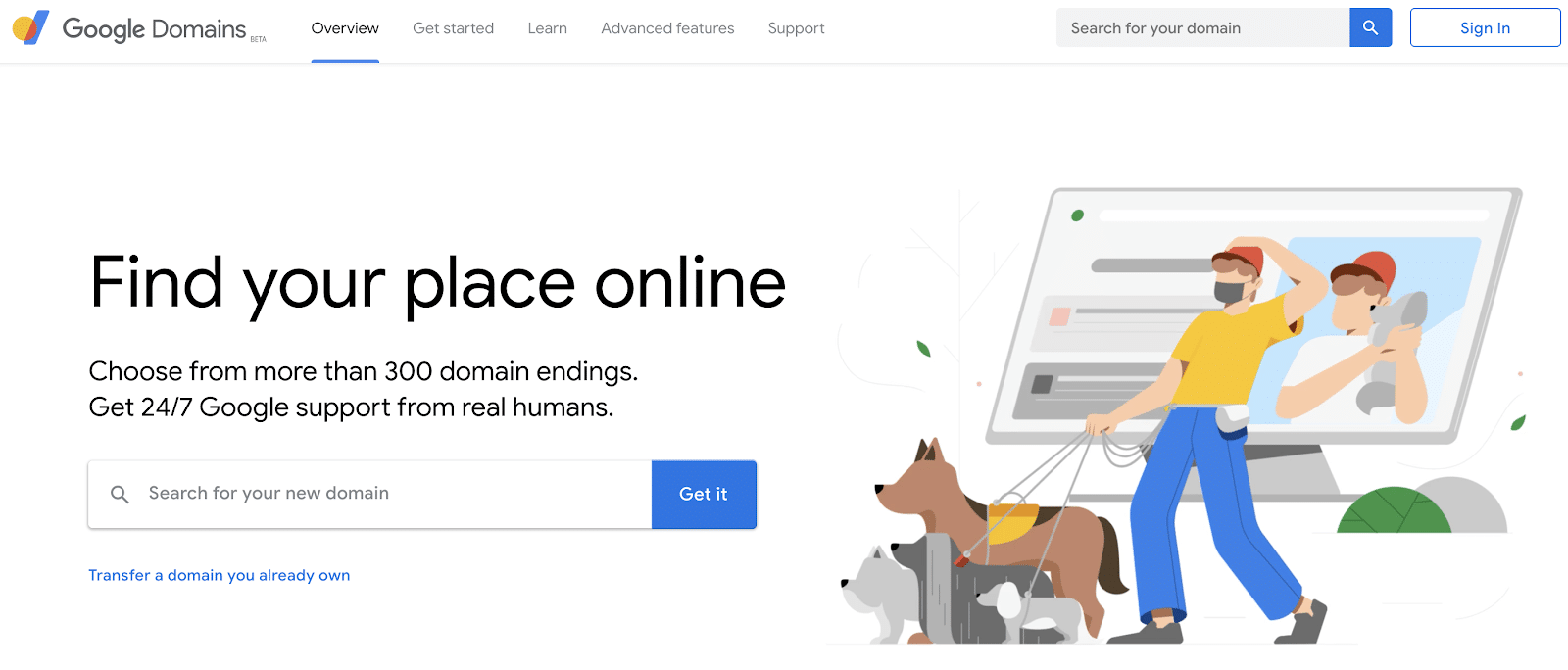 google domains homepage