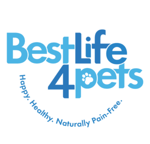 BestLife4Pets