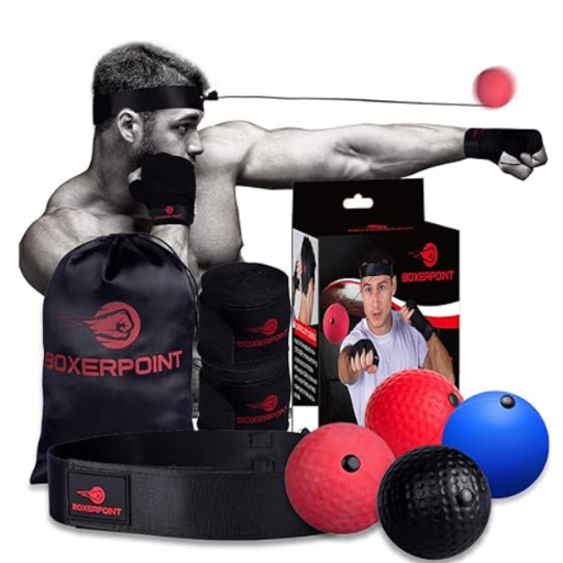 Boxerpoint