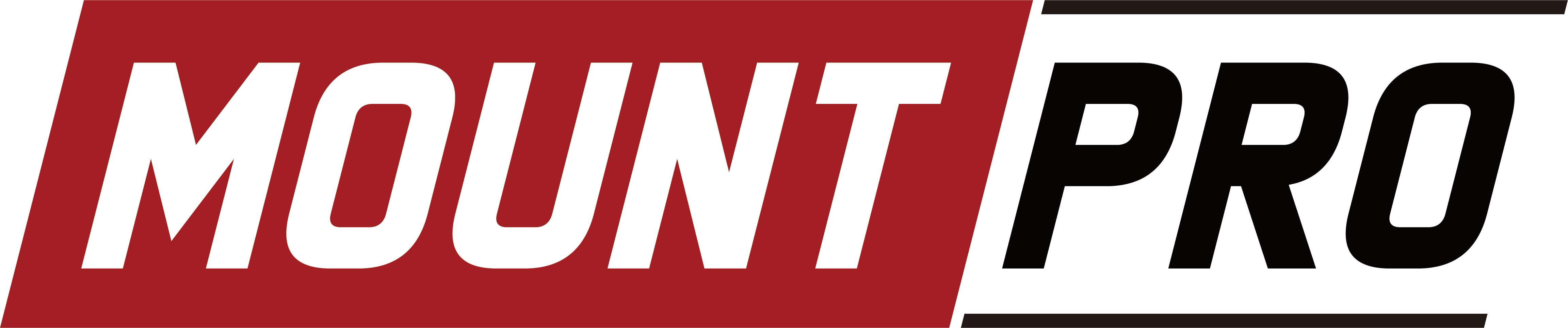MOUNT PRO