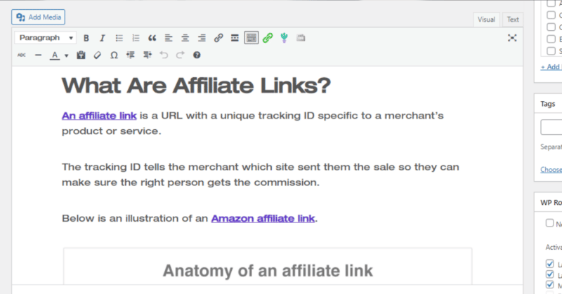 Post editor showing how to monetize a blog by adding affiliate links to blog posts