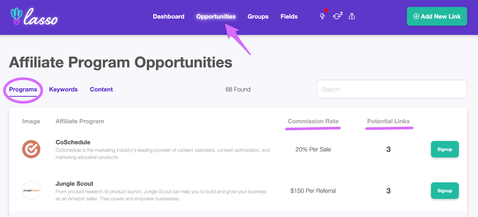 How Many Affiliate Programs Should You Join Lasso