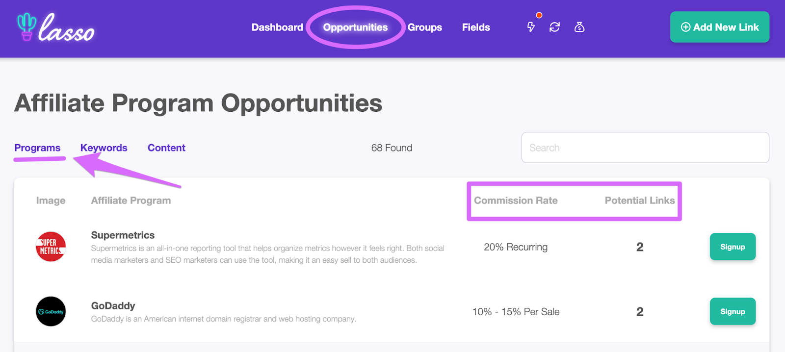lasso finding affiliate programs opportunities report
