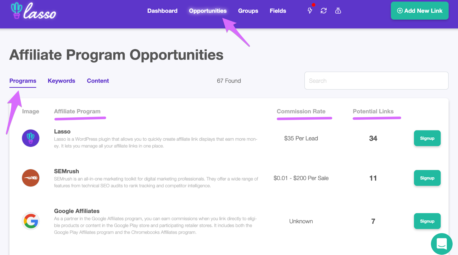 finding affiliate programs with lasso opportunities report