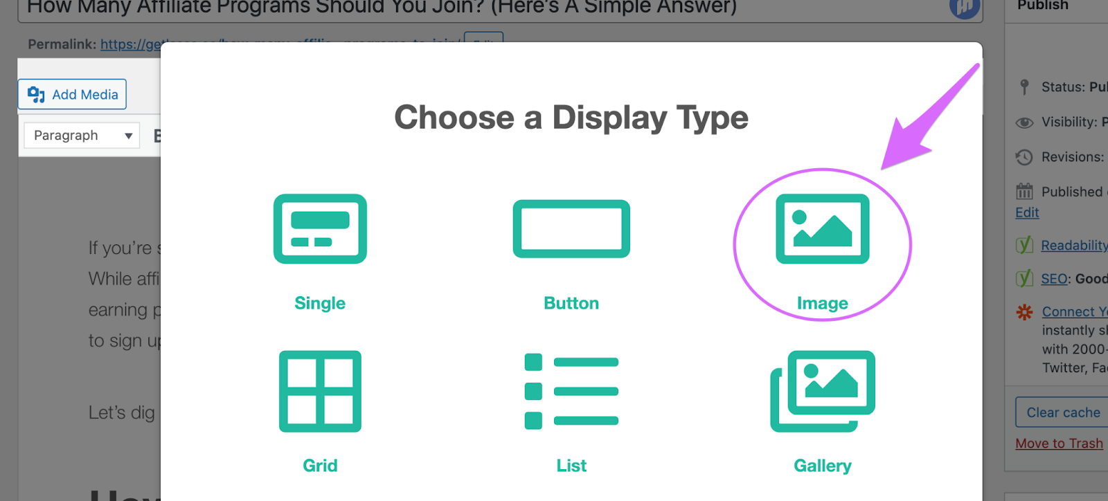 choosing an image display on lasso
