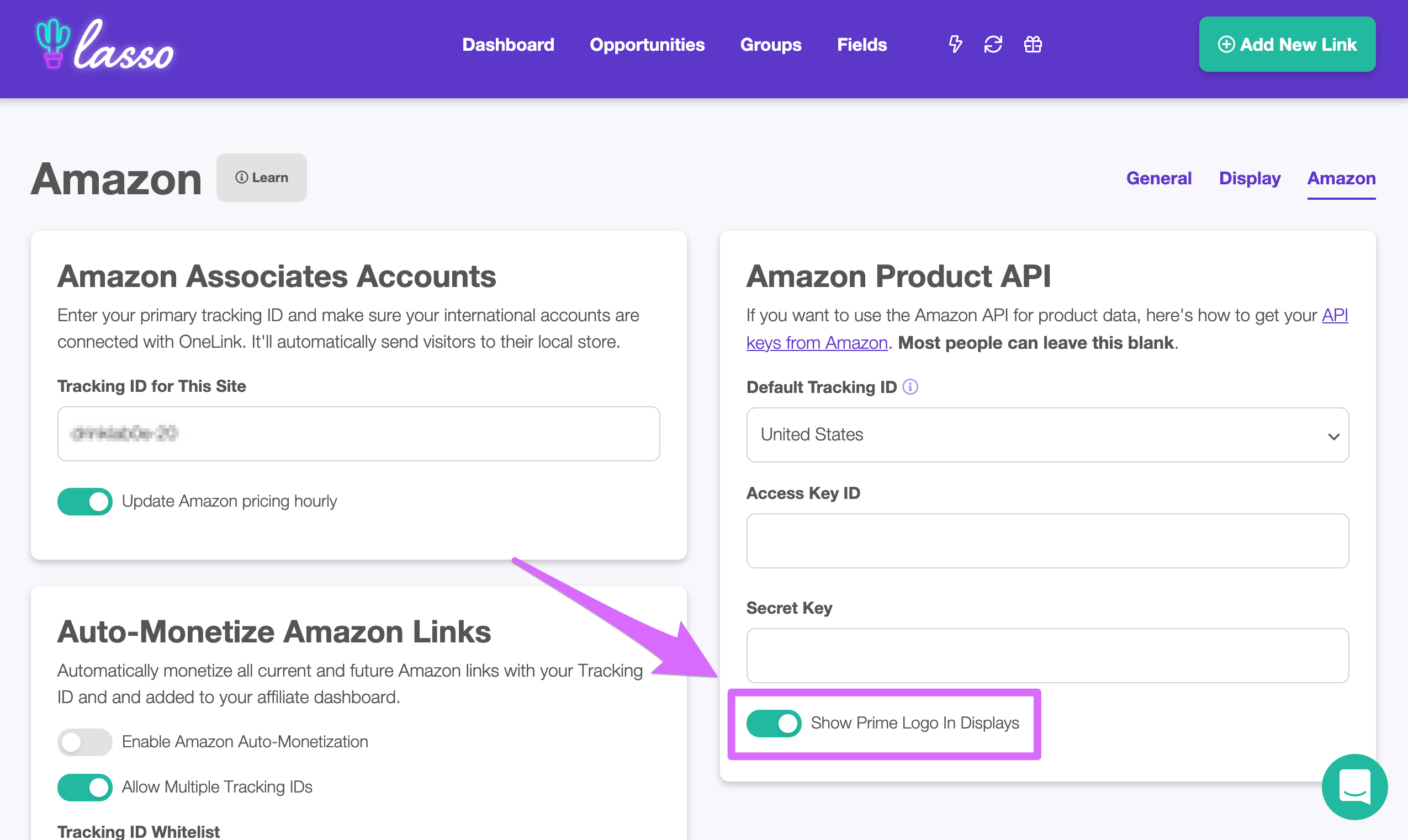 lasso enabling prime logo in displays to improve amazon affiliate conversion rate